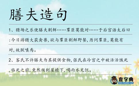 膳夫造句