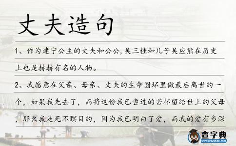 丈夫造句