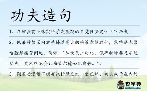 功夫造句