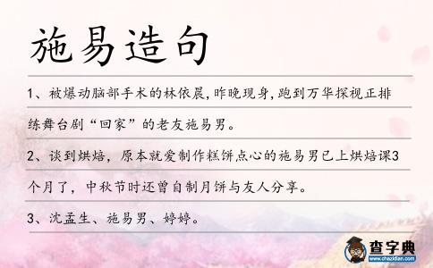施易造句
