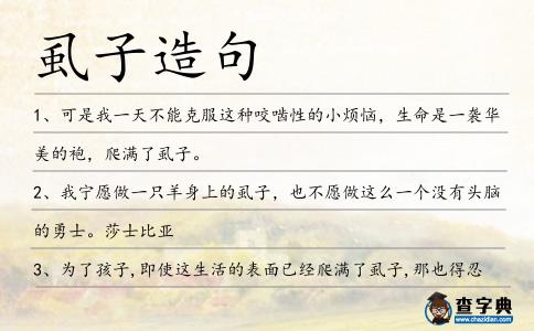 虱子造句