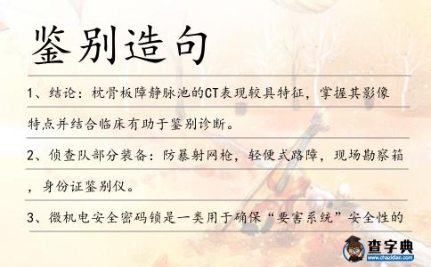 鑒別造句