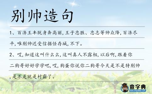 別帥造句