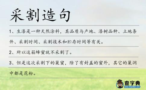 采割造句