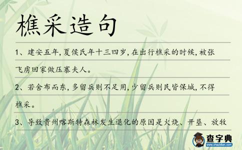 樵采造句