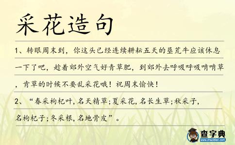 采花造句