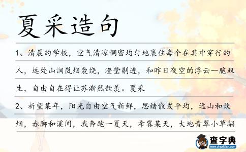 夏采造句