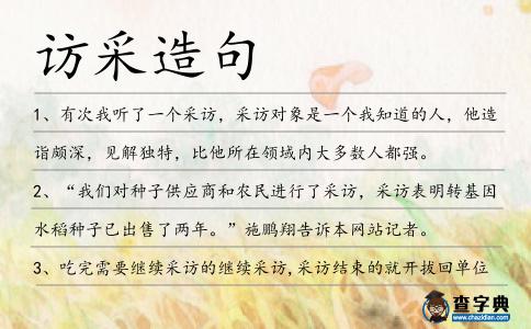 訪采造句