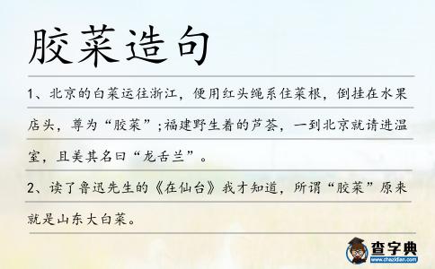 膠菜造句