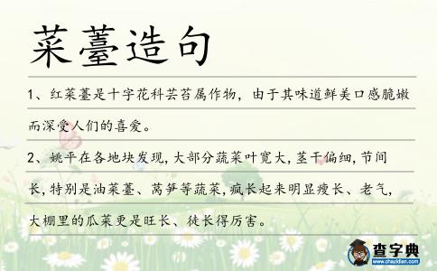 菜薹造句