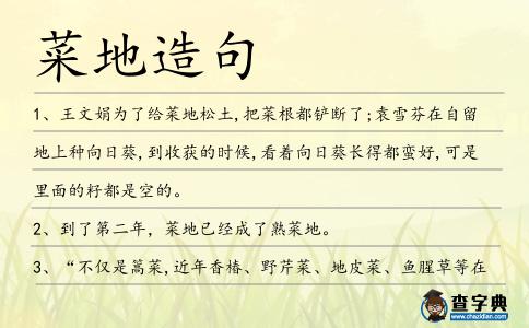 菜地造句