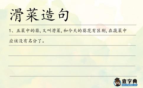 滑菜造句