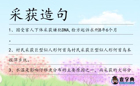 采獲造句