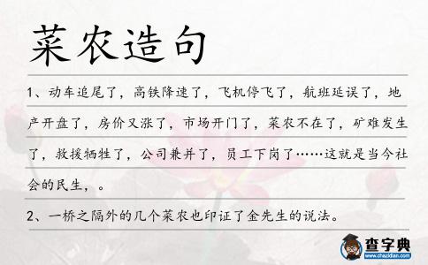 菜農(nóng)造句