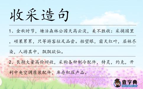 收采造句