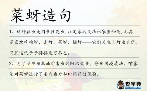 菜蚜造句