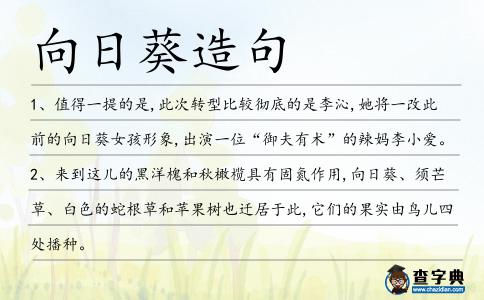向日葵造句