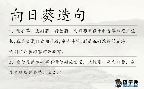 向日葵造句
