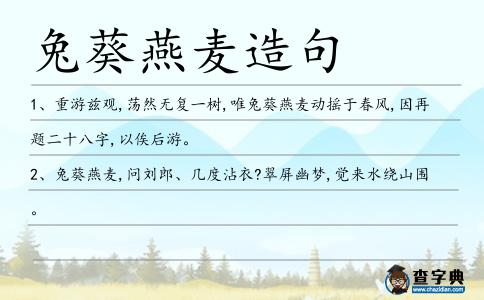 兔葵燕麥造句