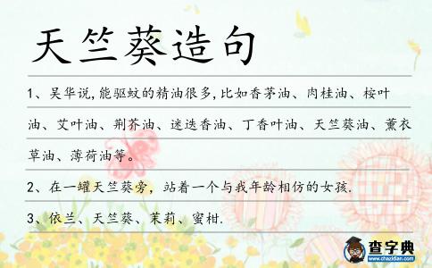 天竺葵造句