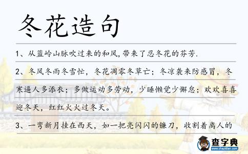 冬花造句