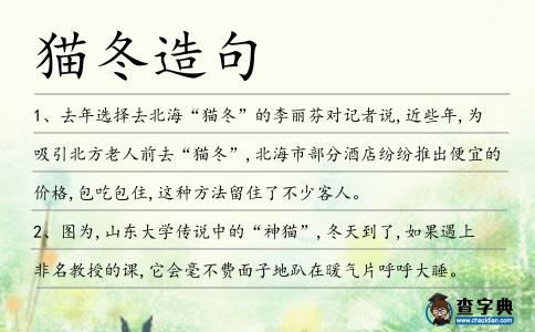 貓冬造句