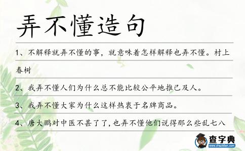 弄不懂造句