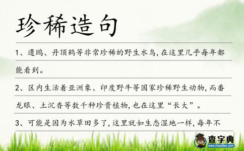 珍稀造句
