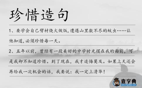 珍惜造句