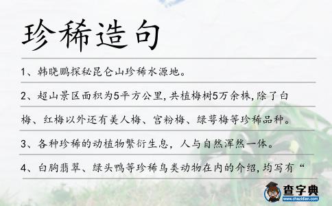 珍稀造句