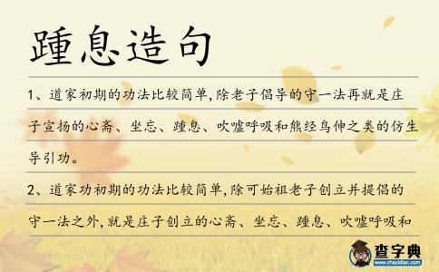 踵息造句