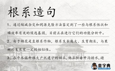 根系造句