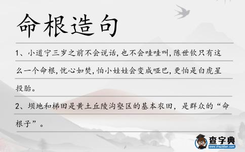 命根造句