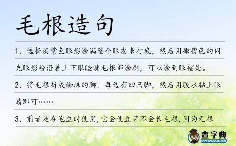 毛根造句