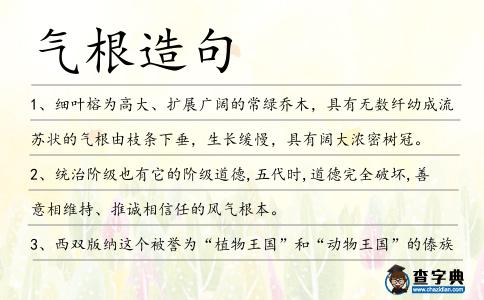氣根造句