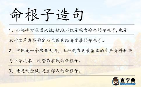 命根子造句