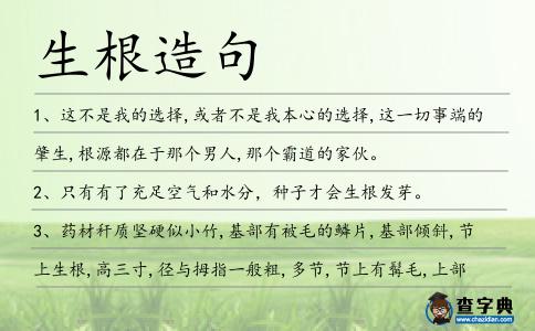 生根造句