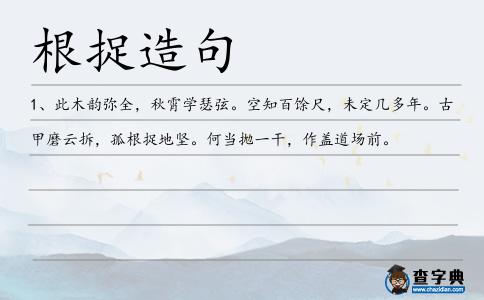 根捉造句