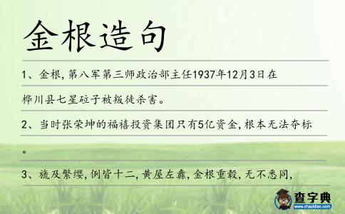 金根造句