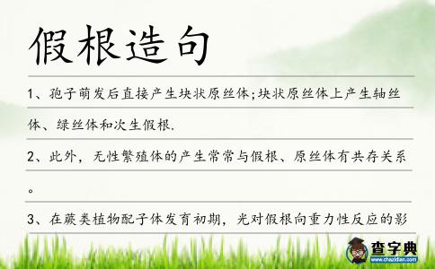 假根造句