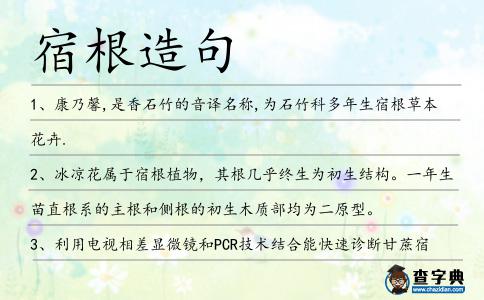 宿根造句