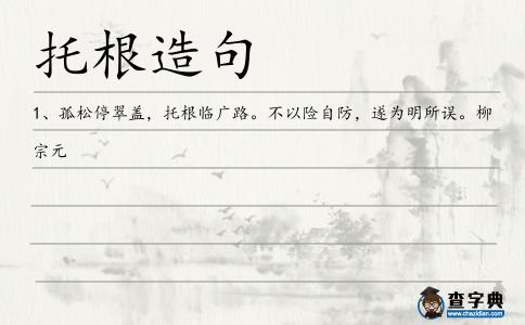 托根造句