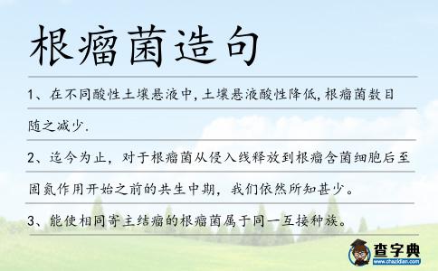 根瘤菌造句