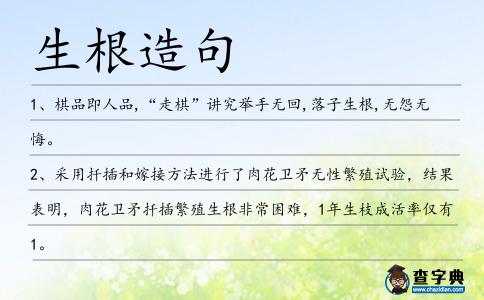 生根造句