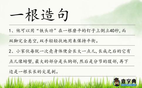 一根造句