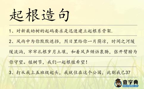 起根造句
