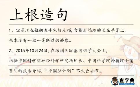 上根造句