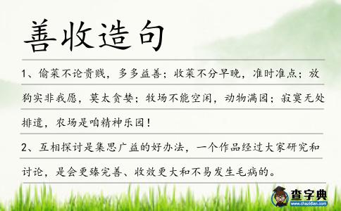 善收造句