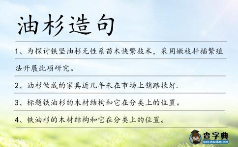油杉造句