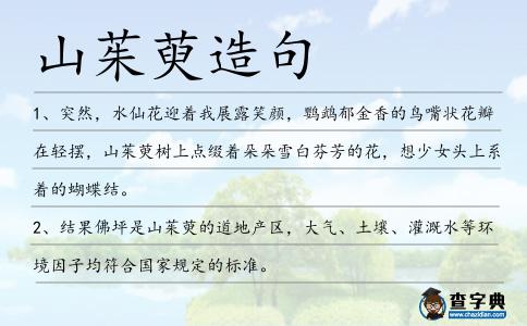 山茱萸造句